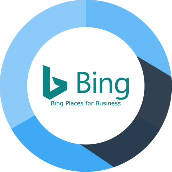 Bing Places reporting, stats and milestones